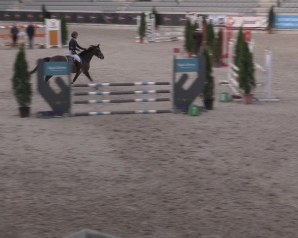 Reitturnier Aachen 2023