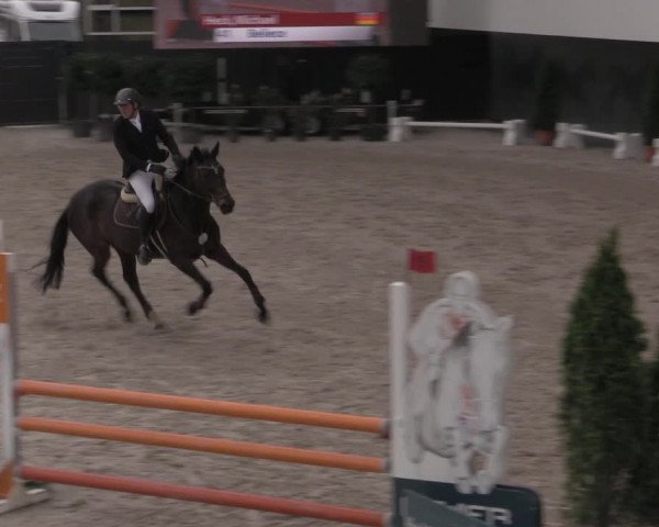 Reitturnier Aachen 2023