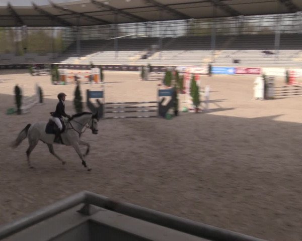 Reitturnier Aachen 2023