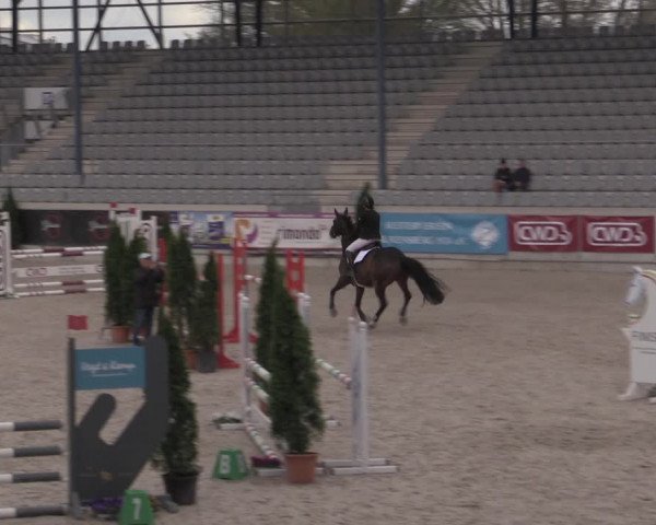 Reitturnier Aachen 2023
