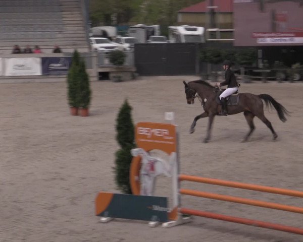 Reitturnier Aachen 2023