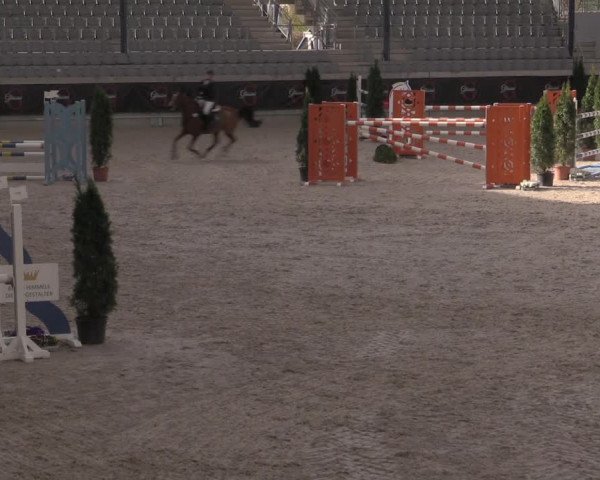 Reitturnier Aachen 2023