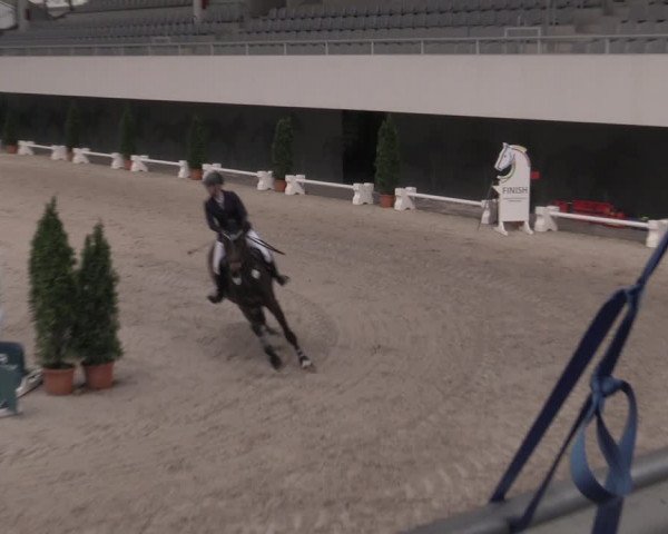 Reitturnier Aachen 2023
