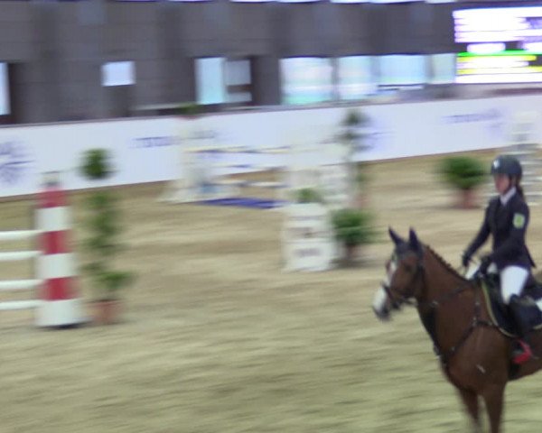 Reitturnier Prussendorf 2021