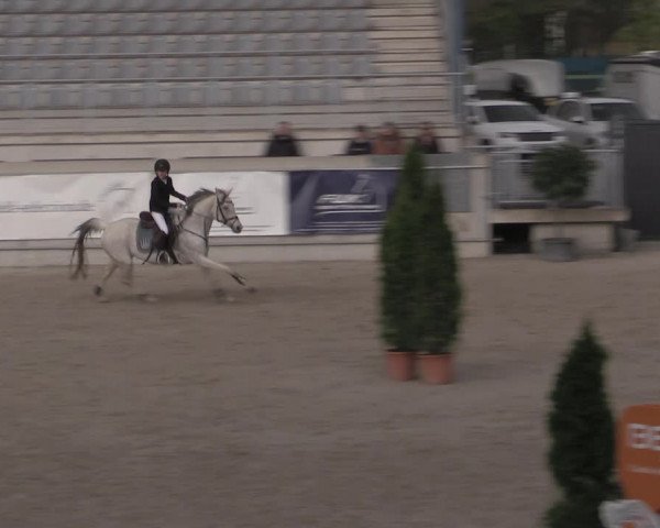 Reitturnier Aachen 2023