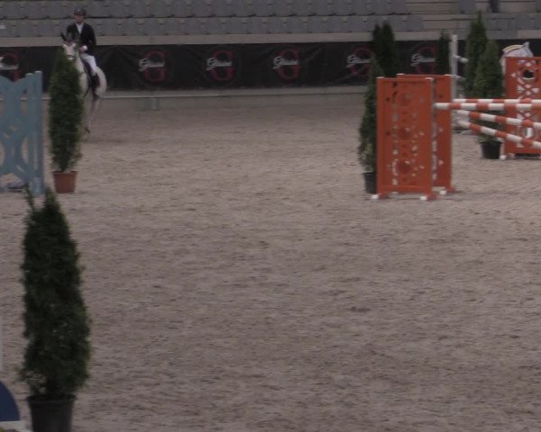 Reitturnier Aachen 2023