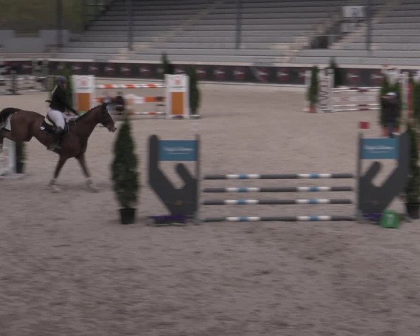 Reitturnier Aachen 2023