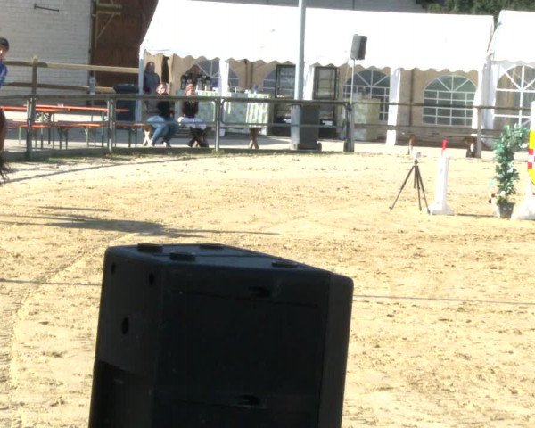 Oktoberturnier Kamen 2021