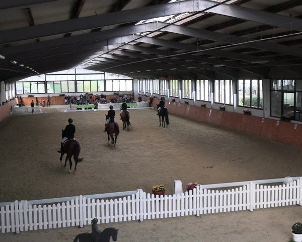Reitturnier Werne-Lenklar 2023