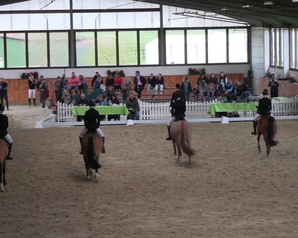 Reitturnier Werne-Lenklar 2023