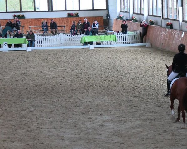 Reitturnier Werne-Lenklar 2023
