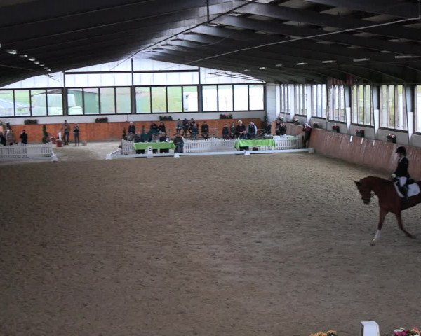 Reitturnier Werne-Lenklar 2023