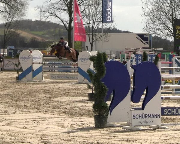 Reitturnier Werne-Lenklar 2023