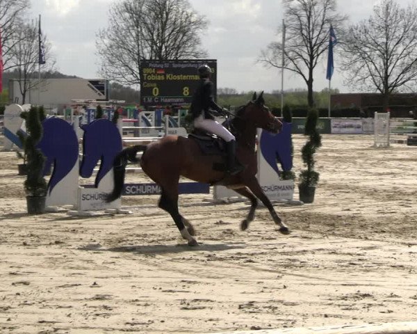 Reitturnier Werne-Lenklar 2023