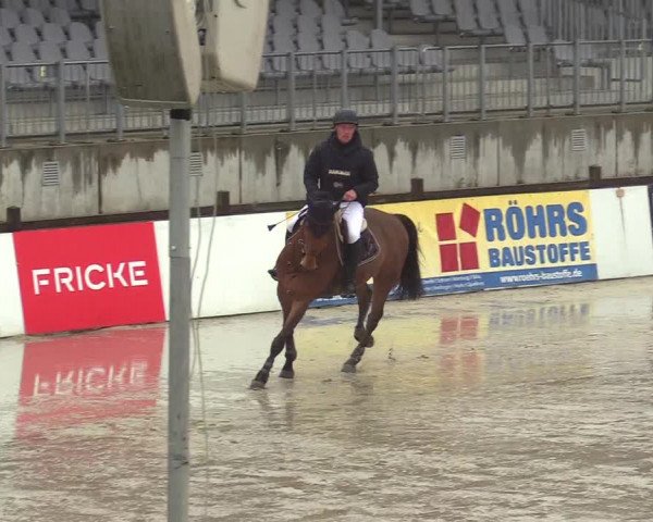 Reitturnier Westergellersen 2023
