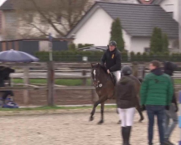 Reitturnier Poxdorf/Ofr 2023