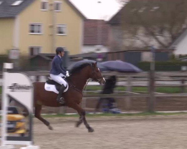 Reitturnier Poxdorf/Ofr 2023