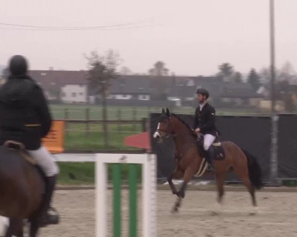 Reitturnier Poxdorf/Ofr 2023