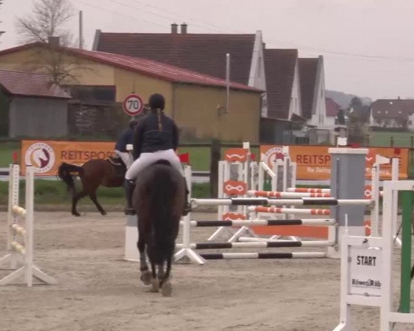 Reitturnier Poxdorf/Ofr 2023