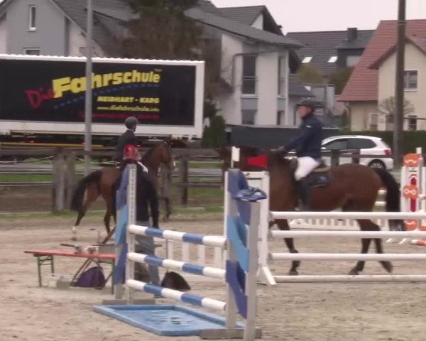 Reitturnier Poxdorf/Ofr 2023