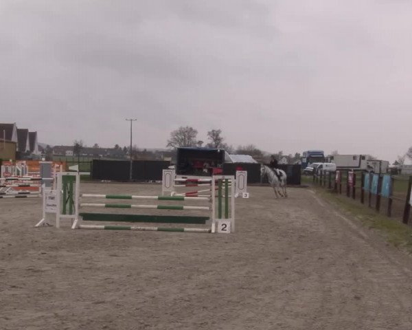 Reitturnier Poxdorf/Ofr 2023