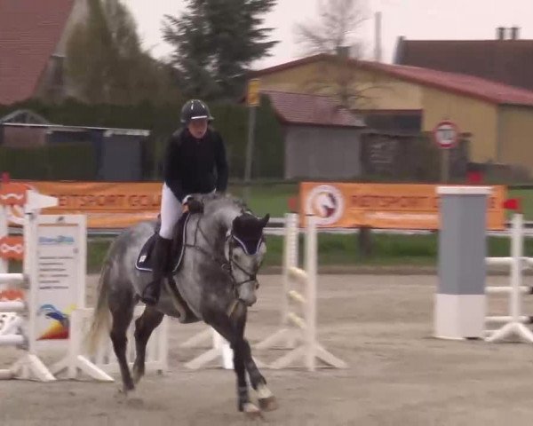 Reitturnier Poxdorf/Ofr 2023