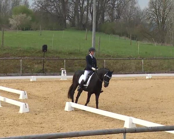Reitturnier Altentrüdingen/Mfr. 2023