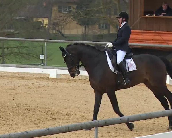 Reitturnier Altentrüdingen/Mfr. 2023