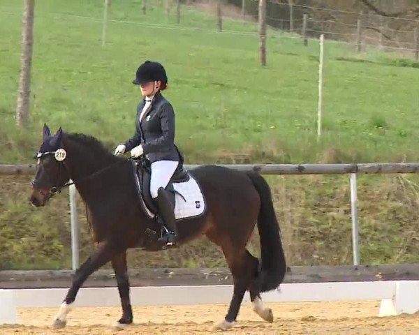 Reitturnier Altentrüdingen/Mfr. 2023