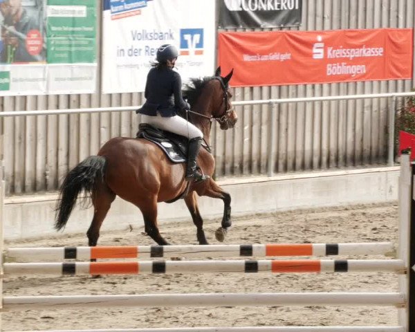 Reitturnier Herrenberg 2023