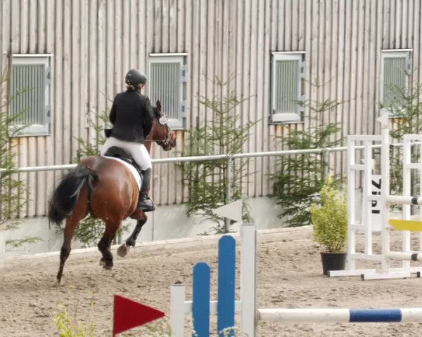Reitturnier Herrenberg 2023