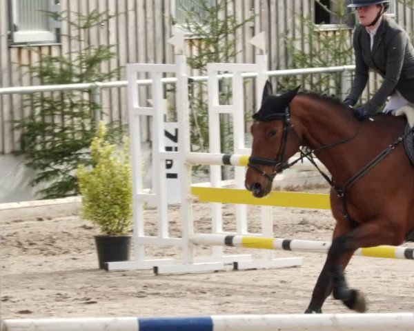 Reitturnier Herrenberg 2023