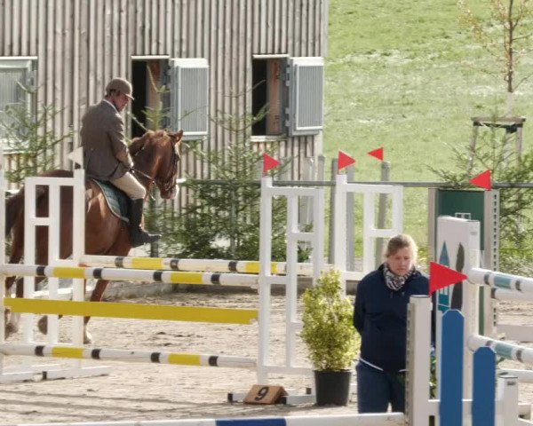 Reitturnier Herrenberg 2023