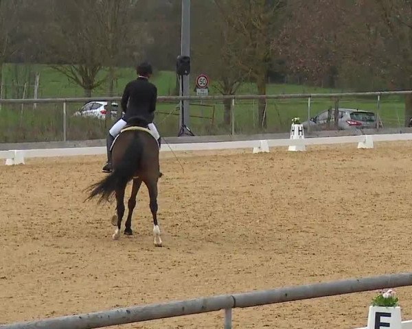 Reitturnier Altentrüdingen/Mfr. 2023