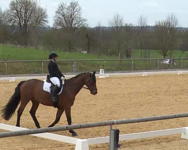 Reitturnier Altentrüdingen/Mfr. 2023