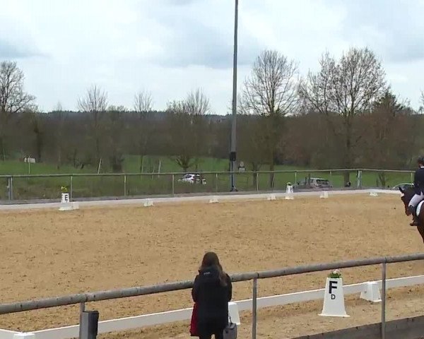 Reitturnier Altentrüdingen/Mfr. 2023
