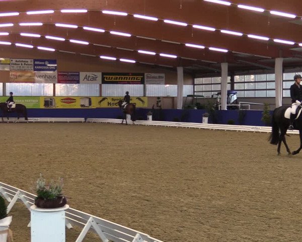 Dressurturnier Isterberg 2021