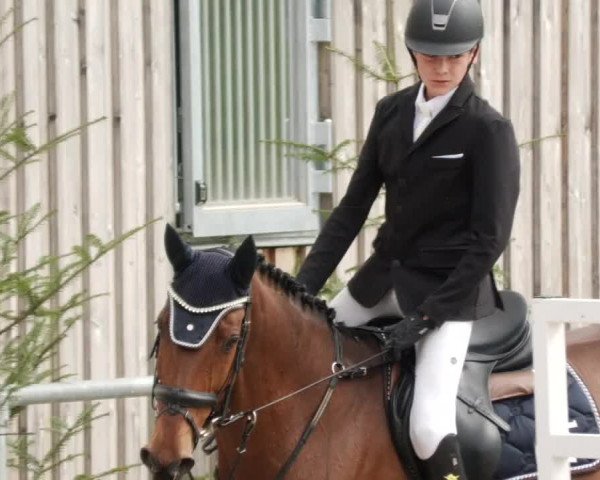 Reitturnier Herrenberg 2023
