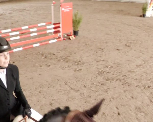 Reitturnier Herrenberg 2023