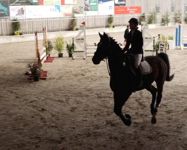 Reitturnier Herrenberg 2023