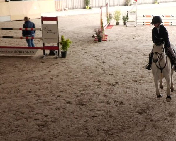 Reitturnier Herrenberg 2023