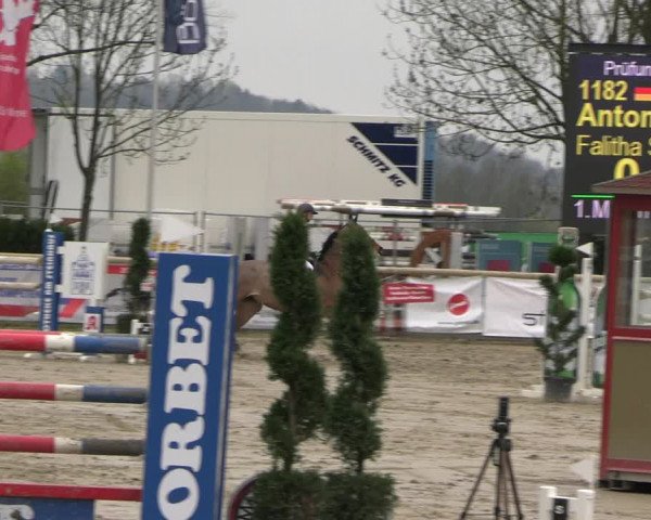 Reitturnier Werne-Lenklar 2023