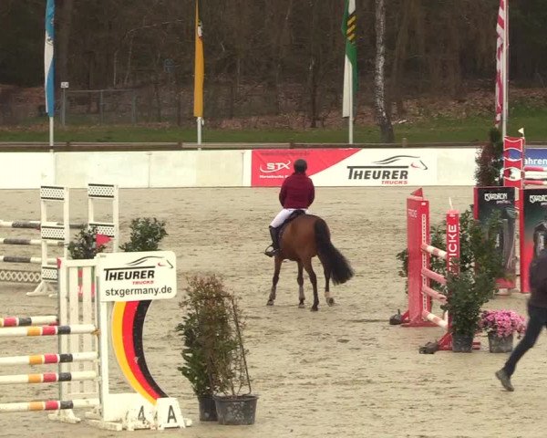 Reitturnier Westergellersen 2023