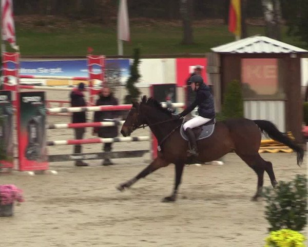 Reitturnier Westergellersen 2023