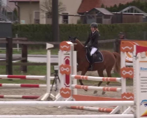 Reitturnier Poxdorf/Ofr 2023