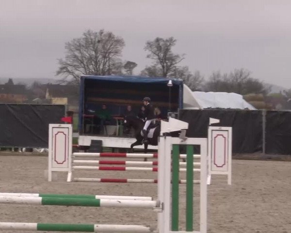 Reitturnier Poxdorf/Ofr 2023
