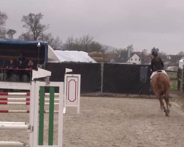 Reitturnier Poxdorf/Ofr 2023