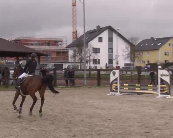 Reitturnier Poxdorf/Ofr 2023