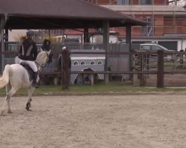 Reitturnier Poxdorf/Ofr 2023
