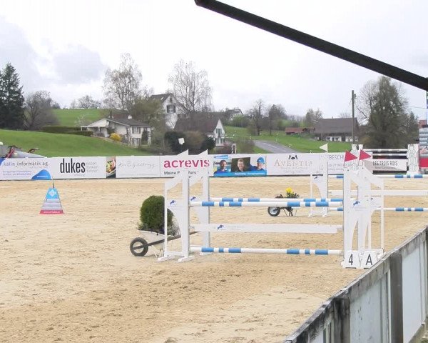 Reitturnier Wädenswil 2023
